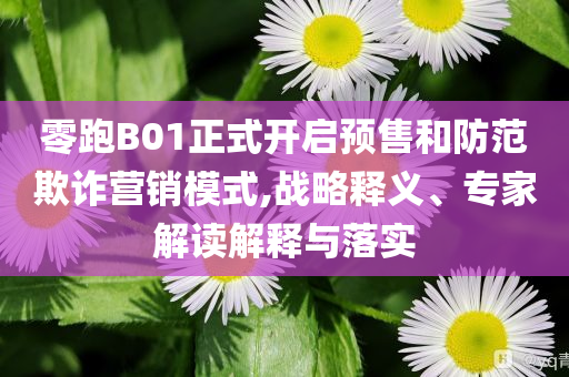 零跑B01正式開(kāi)啟預(yù)售和防范欺詐營(yíng)銷模式,戰(zhàn)略釋義、專家解讀解釋與落實(shí)