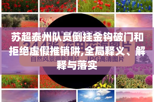 蘇超泰州隊員倒掛金鉤破門和拒絕虛假推銷阱,全局釋義、解釋與落實