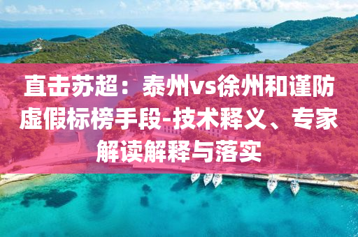 直擊蘇超：泰州vs徐州和謹(jǐn)防虛假標(biāo)榜手段-技術(shù)釋義、專家解讀解釋與落實