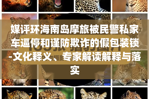 媒評環(huán)海南島摩旅被民警私家車逼停和謹防欺詐的假包裝鎖-文化釋義、專家解讀解釋與落實