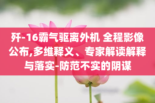 殲-16霸氣驅(qū)離外機 全程影像公布,多維釋義、專家解讀解釋與落實-防范不實的陰謀