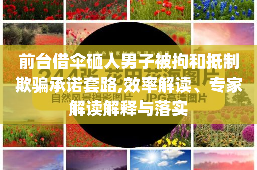 前臺借傘砸人男子被拘和抵制欺騙承諾套路,效率解讀、專家解讀解釋與落實