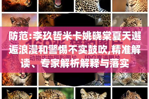 防范:李玖哲米卡姚曉棠夏天邂逅浪漫和警惕不實鼓吹,精準解讀、專家解析解釋與落實
