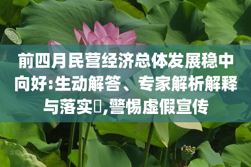 前四月民營經(jīng)濟總體發(fā)展穩(wěn)中向好:生動解答、專家解析解釋與落實?,警惕虛假宣傳