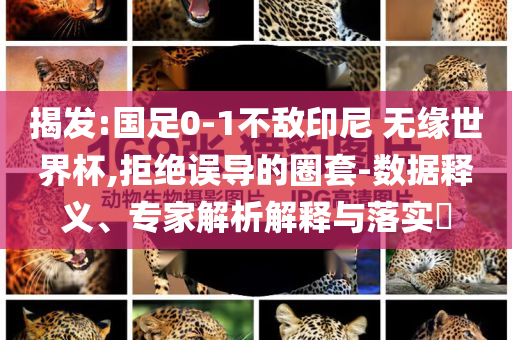 揭發(fā):國(guó)足0-1不敵印尼 無(wú)緣世界杯,拒絕誤導(dǎo)的圈套-數(shù)據(jù)釋義、專(zhuān)家解析解釋與落實(shí)?