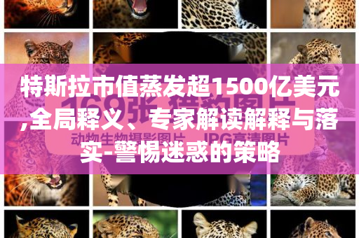 特斯拉市值蒸發(fā)超1500億美元,全局釋義、專(zhuān)家解讀解釋與落實(shí)-警惕迷惑的策略