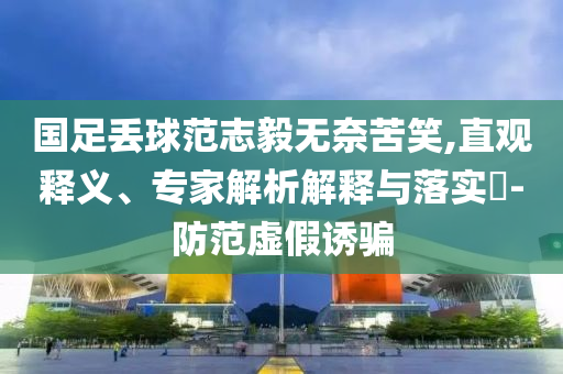 國(guó)足丟球范志毅無(wú)奈苦笑,直觀釋義、專(zhuān)家解析解釋與落實(shí)?-防范虛假誘騙