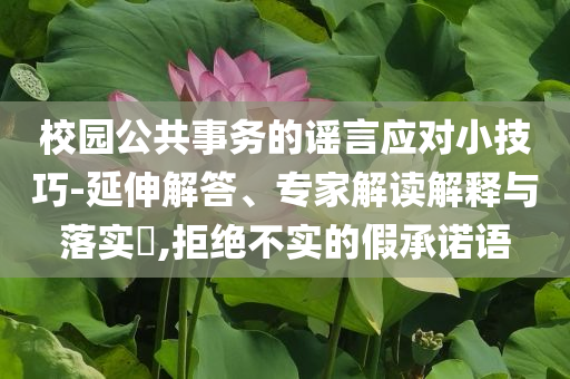 校園公共事務(wù)的謠言應(yīng)對(duì)小技巧-延伸解答、專(zhuān)家解讀解釋與落實(shí)?,拒絕不實(shí)的假承諾語(yǔ)