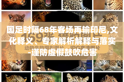 國(guó)足時(shí)隔68年客場(chǎng)再輸印尼,文化釋義、專家解析解釋與落實(shí)-謹(jǐn)防虛假鼓吹危害