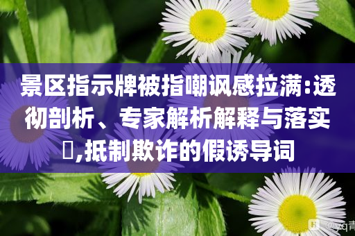 景區(qū)指示牌被指嘲諷感拉滿(mǎn):透徹剖析、專(zhuān)家解析解釋與落實(shí)?,抵制欺詐的假誘導(dǎo)詞