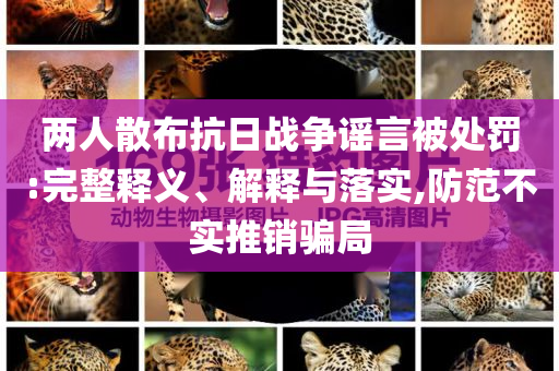 兩人散布抗日戰(zhàn)爭(zhēng)謠言被處罰:完整釋義、解釋與落實(shí),防范不實(shí)推銷(xiāo)騙局