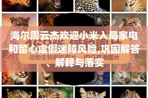 海爾周云杰歡迎小米入局家電和留心虛假迷障風險,鞏固解答、解釋與落實