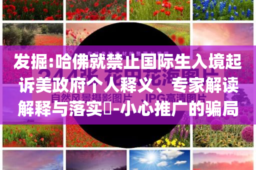 發(fā)掘:哈佛就禁止國際生入境起訴美政府個(gè)人釋義、專家解讀解釋與落實(shí)?-小心推廣的騙局