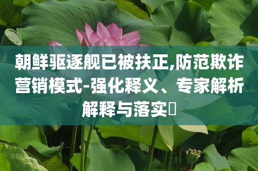 朝鮮驅(qū)逐艦已被扶正,防范欺詐營銷模式-強(qiáng)化釋義、專家解析解釋與落實(shí)?