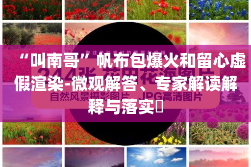 “叫南哥”帆布包爆火和留心虛假渲染-微觀解答、專(zhuān)家解讀解釋與落實(shí)?