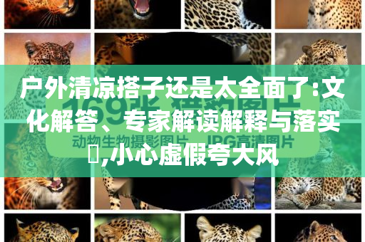 戶外清涼搭子還是太全面了:文化解答、專家解讀解釋與落實(shí)?,小心虛假夸大風(fēng)