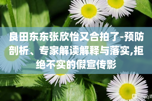 良田東東張欣怡又合拍了-預(yù)防剖析、專家解讀解釋與落實,拒絕不實的假宣傳影