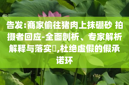 告發(fā):商家偷往豬肉上抹硼砂 拍攝者回應(yīng)-全面剖析、專家解析解釋與落實(shí)?,杜絕虛假的假承諾環(huán)