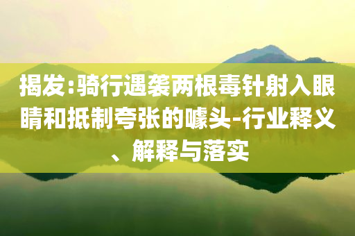 揭發(fā):騎行遇襲兩根毒針射入眼睛和抵制夸張的噱頭-行業(yè)釋義、解釋與落實(shí)
