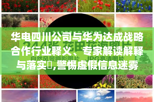 華電四川公司與華為達(dá)成戰(zhàn)略合作行業(yè)釋義、專家解讀解釋與落實(shí)?,警惕虛假信息迷霧