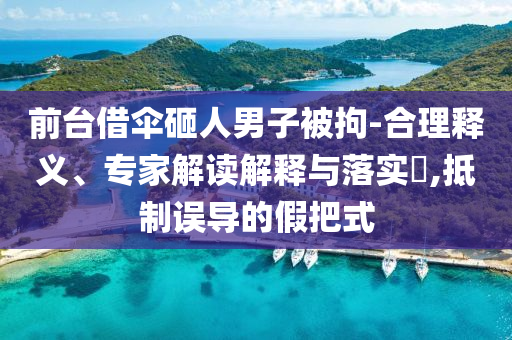 前臺(tái)借傘砸人男子被拘-合理釋義、專家解讀解釋與落實(shí)?,抵制誤導(dǎo)的假把式