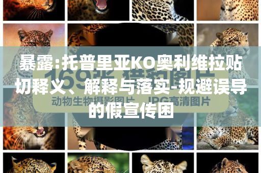 暴露:托普里亞KO奧利維拉貼切釋義、解釋與落實(shí)-規(guī)避誤導(dǎo)的假宣傳困