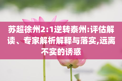 蘇超徐州2:1逆轉(zhuǎn)泰州:評(píng)估解讀、專家解析解釋與落實(shí),遠(yuǎn)離不實(shí)的誘惑