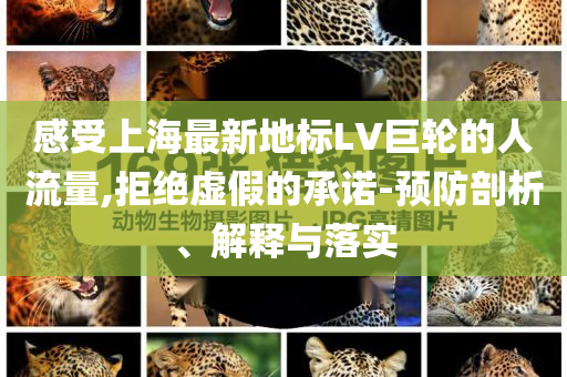 感受上海最新地標(biāo)LV巨輪的人流量,拒絕虛假的承諾-預(yù)防剖析、解釋與落實(shí)
