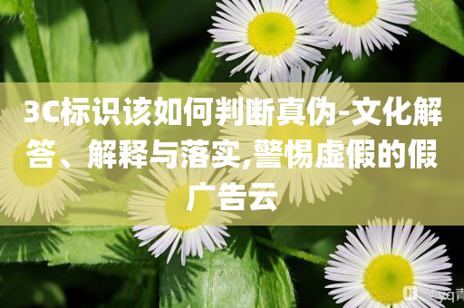3C標(biāo)識該如何判斷真?zhèn)?文化解答、解釋與落實,警惕虛假的假廣告云