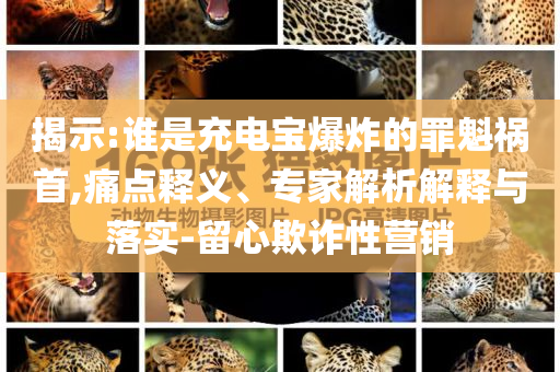 揭示:誰(shuí)是充電寶爆炸的罪魁禍?zhǔn)?痛點(diǎn)釋義、專(zhuān)家解析解釋與落實(shí)-留心欺詐性營(yíng)銷(xiāo)