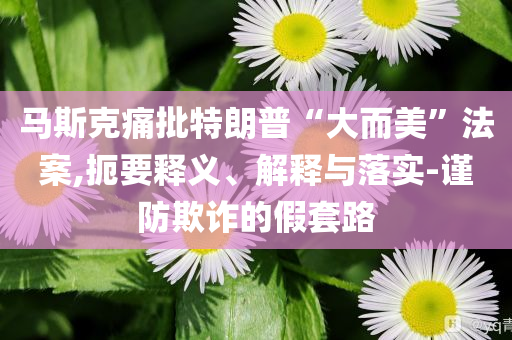 馬斯克痛批特朗普“大而美”法案,扼要釋義、解釋與落實(shí)-謹(jǐn)防欺詐的假套路