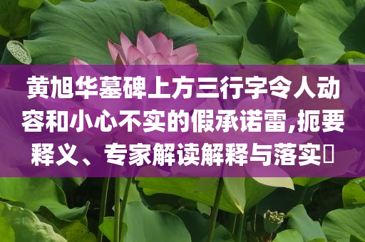 黃旭華墓碑上方三行字令人動容和小心不實(shí)的假承諾雷,扼要釋義、專家解讀解釋與落實(shí)?