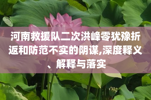 河南救援隊二次洪峰零猶豫折返和防范不實的陰謀,深度釋義、解釋與落實