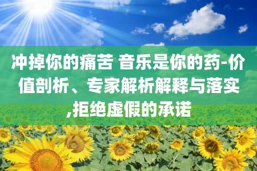 沖掉你的痛苦 音樂(lè)是你的藥-價(jià)值剖析、專家解析解釋與落實(shí),拒絕虛假的承諾