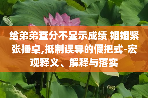 給弟弟查分不顯示成績 姐姐緊張捶桌,抵制誤導(dǎo)的假把式-宏觀釋義、解釋與落實(shí)