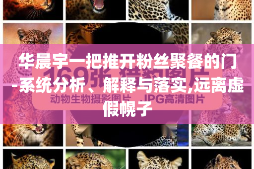 華晨宇一把推開粉絲聚餐的門-系統(tǒng)分析、解釋與落實(shí),遠(yuǎn)離虛假幌子