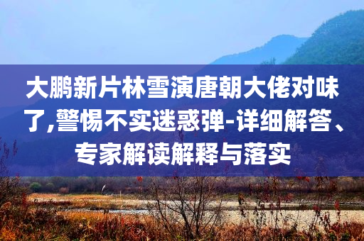 大鵬新片林雪演唐朝大佬對(duì)味了,警惕不實(shí)迷惑彈-詳細(xì)解答、專家解讀解釋與落實(shí)