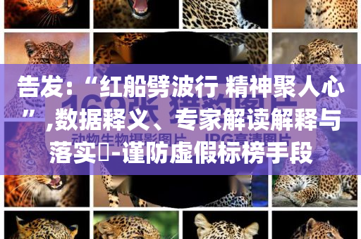 告發(fā):“紅船劈波行 精神聚人心”,數(shù)據(jù)釋義、專家解讀解釋與落實(shí)?-謹(jǐn)防虛假標(biāo)榜手段