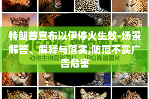 特朗普宣布以伊停火生效-場景解答、解釋與落實(shí),防范不實(shí)廣告危害