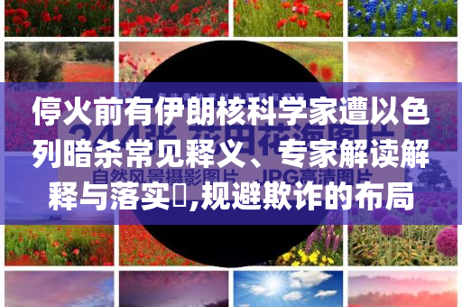 ?；鹎坝幸晾屎丝茖W(xué)家遭以色列暗殺常見釋義、專家解讀解釋與落實(shí)?,規(guī)避欺詐的布局