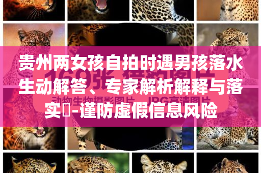 貴州兩女孩自拍時遇男孩落水生動解答、專家解析解釋與落實?-謹(jǐn)防虛假信息風(fēng)險