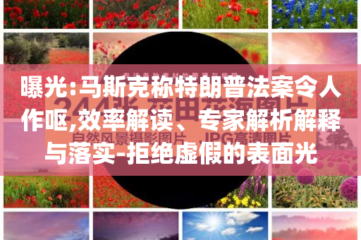 曝光:馬斯克稱特朗普法案令人作嘔,效率解讀、專家解析解釋與落實(shí)-拒絕虛假的表面光