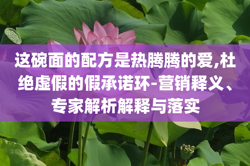 這碗面的配方是熱騰騰的愛(ài),杜絕虛假的假承諾環(huán)-營(yíng)銷(xiāo)釋義、專(zhuān)家解析解釋與落實(shí)