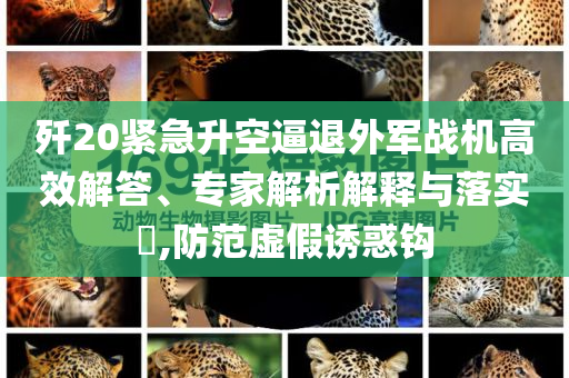 殲20緊急升空逼退外軍戰(zhàn)機(jī)高效解答、專(zhuān)家解析解釋與落實(shí)?,防范虛假誘惑鉤