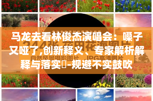 馬龍去看林俊杰演唱會：嗓子又啞了,創(chuàng)新釋義、專家解析解釋與落實?-規(guī)避不實鼓吹