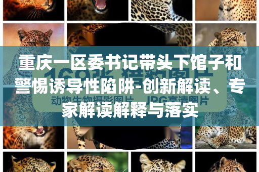 重慶一區(qū)委書記帶頭下館子和警惕誘導性陷阱-創(chuàng)新解讀、專家解讀解釋與落實