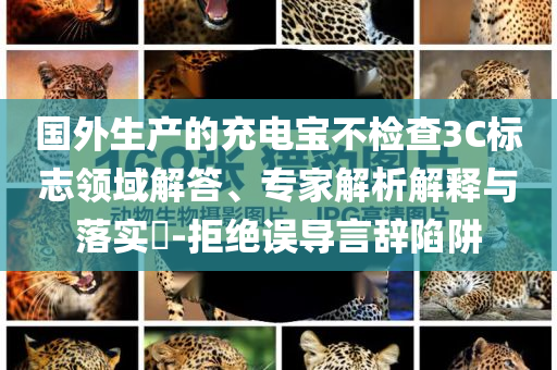 國外生產(chǎn)的充電寶不檢查3C標(biāo)志領(lǐng)域解答、專家解析解釋與落實?-拒絕誤導(dǎo)言辭陷阱