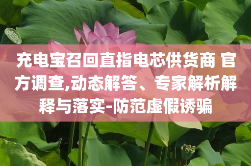 充電寶召回直指電芯供貨商 官方調(diào)查,動(dòng)態(tài)解答、專家解析解釋與落實(shí)-防范虛假誘騙