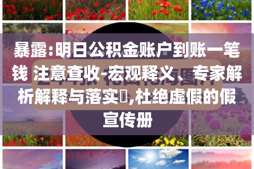 暴露:明日公積金賬戶到賬一筆錢 注意查收-宏觀釋義、專家解析解釋與落實(shí)?,杜絕虛假的假宣傳冊(cè)