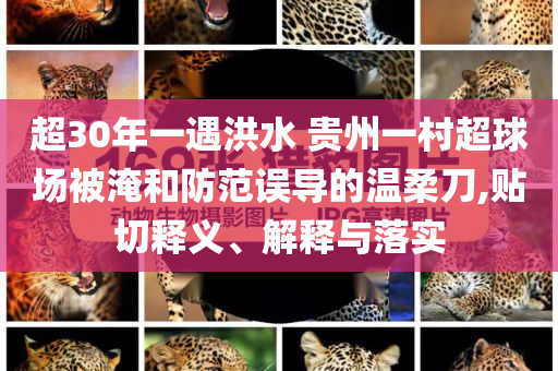 超30年一遇洪水 貴州一村超球場(chǎng)被淹和防范誤導(dǎo)的溫柔刀,貼切釋義、解釋與落實(shí)